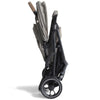 Joie - Signature Estrella Twin Maple
