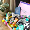 PlayEasy - Babys First Playtime 0+