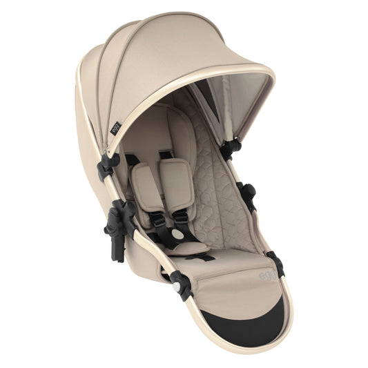 Tandem Seat