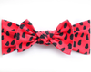 Little Bo Pip - Watermelon Pippa bow Small