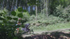 Outnabout Single Nipper Plus V6 Pushchair